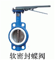 軟密封蝶閥